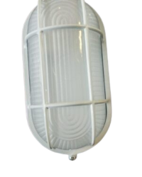 Home steam / sauna light